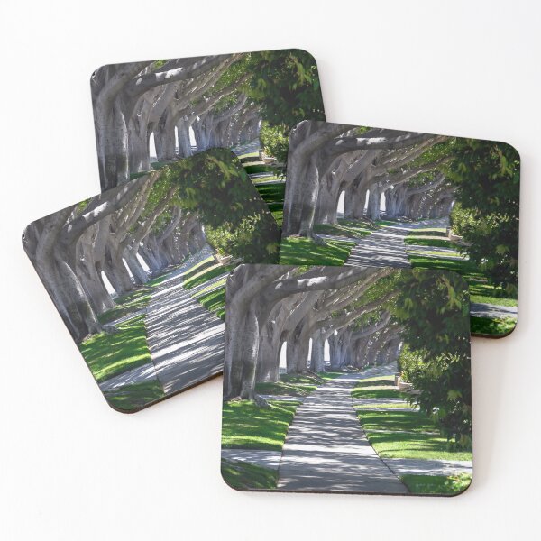 Item preview, Shadows designed and sold by heatherfriedman.