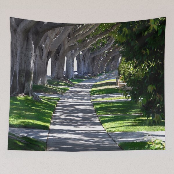 Item preview, Shadows designed and sold by heatherfriedman.