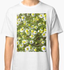 Photo of camomile flowers Classic T-Shirt