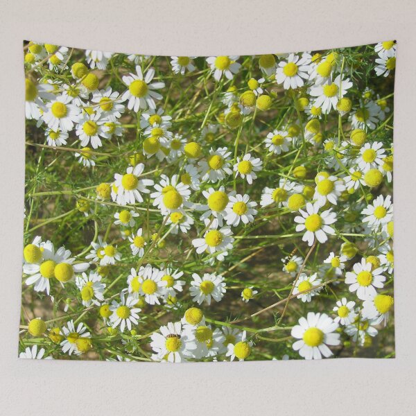 Item preview, Photo of camomile flowers designed and sold by PM-Artistic.