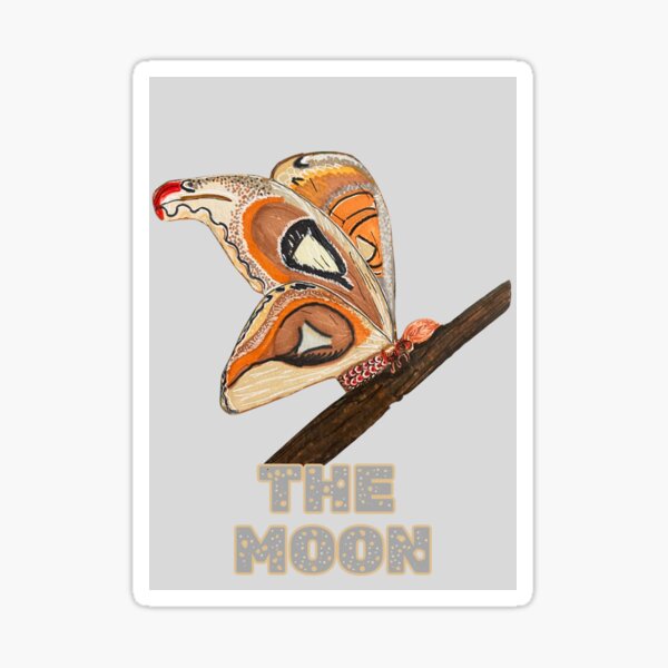 Item preview, The Moon: Atlas Moth designed and sold by katy_did_it_.