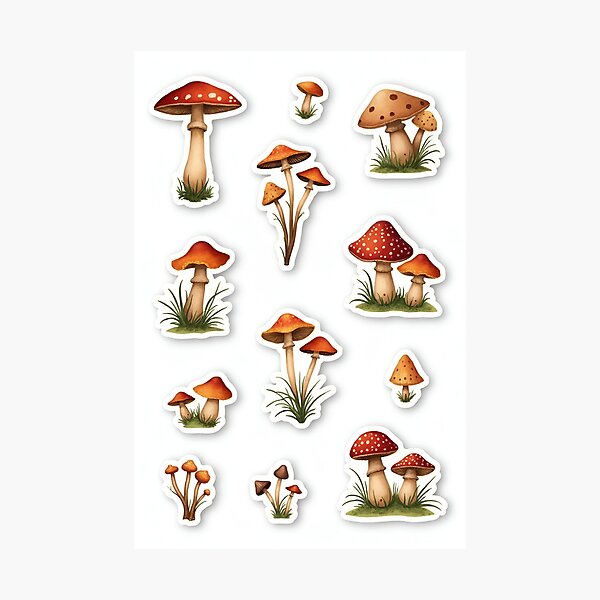 Artikel-Vorschau von Pilz-Aufkleber, designt und verkauft von Mushroom Sticker Arts .