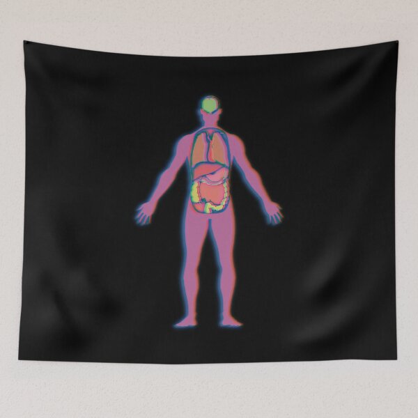Item preview, Human Anatomy Gift, Colorful Anatomy Art, Human Body, Doctor Gift, Nurse Gift designed and sold by mermaidronnie.