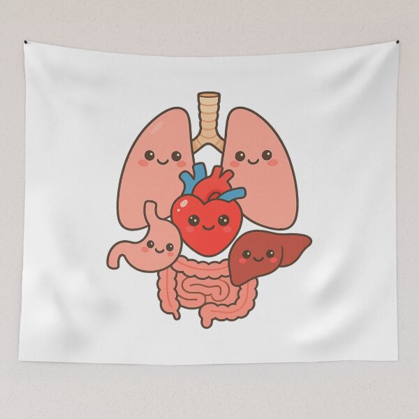 Item preview, Anatomy designed and sold by Order42.