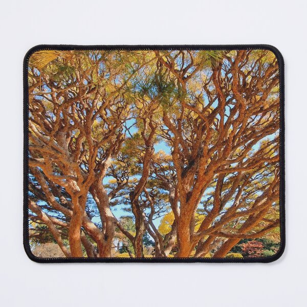 Item preview, Foliage designed and sold by TalBright.