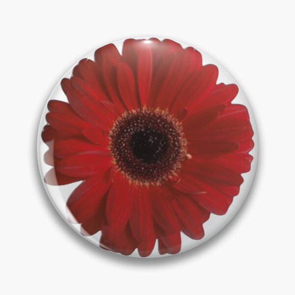 Item preview, A red daisy  designed and sold by di-Vera-Rosati.