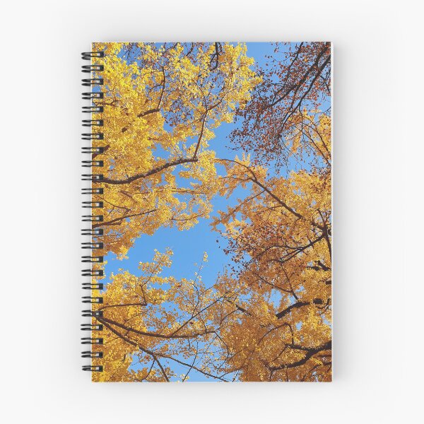 Item preview, Japan Fall Foliage - Autumn Leaves designed and sold by TalBright.
