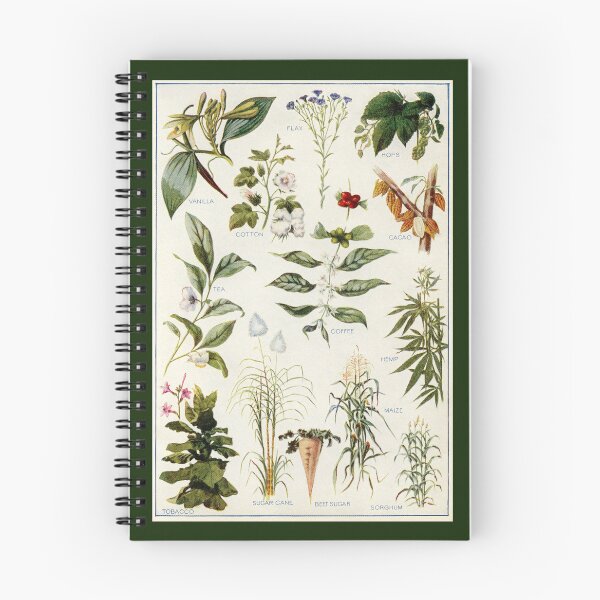 Item preview, Useful Plants designed and sold by foxandfalcon.