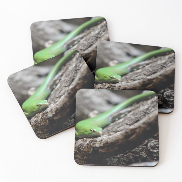 Item preview, Little Lizard designed and sold by Olivia Plasencia.