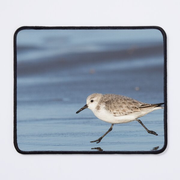 Item preview, Sanderling running  designed and sold by Margriet Photography .
