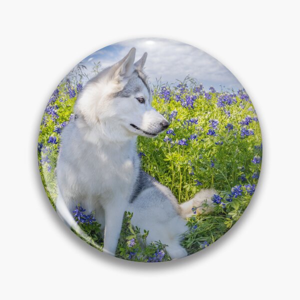 Item preview, Husky in Bluebonnets designed and sold by May Finch.