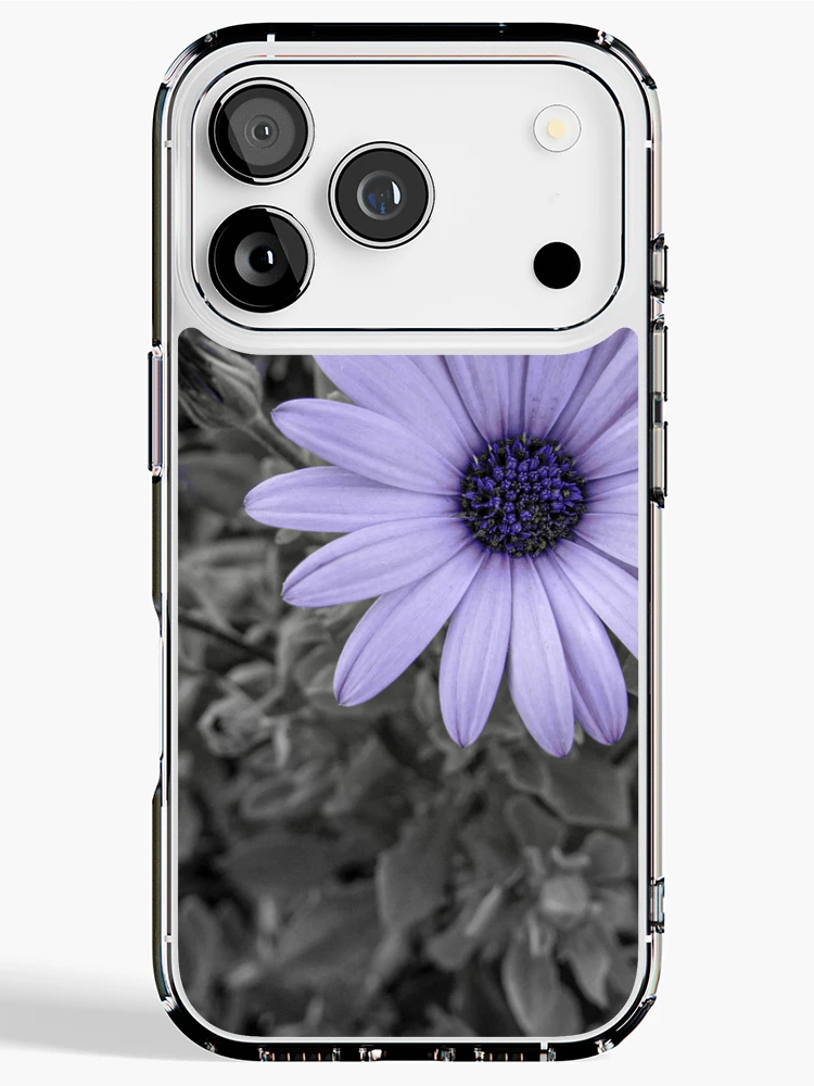 Aperçu 1 sur 5. Coque iPhone avec l'œuvre Dimorphotheca ecklonis créée et vendue par Rafael López.