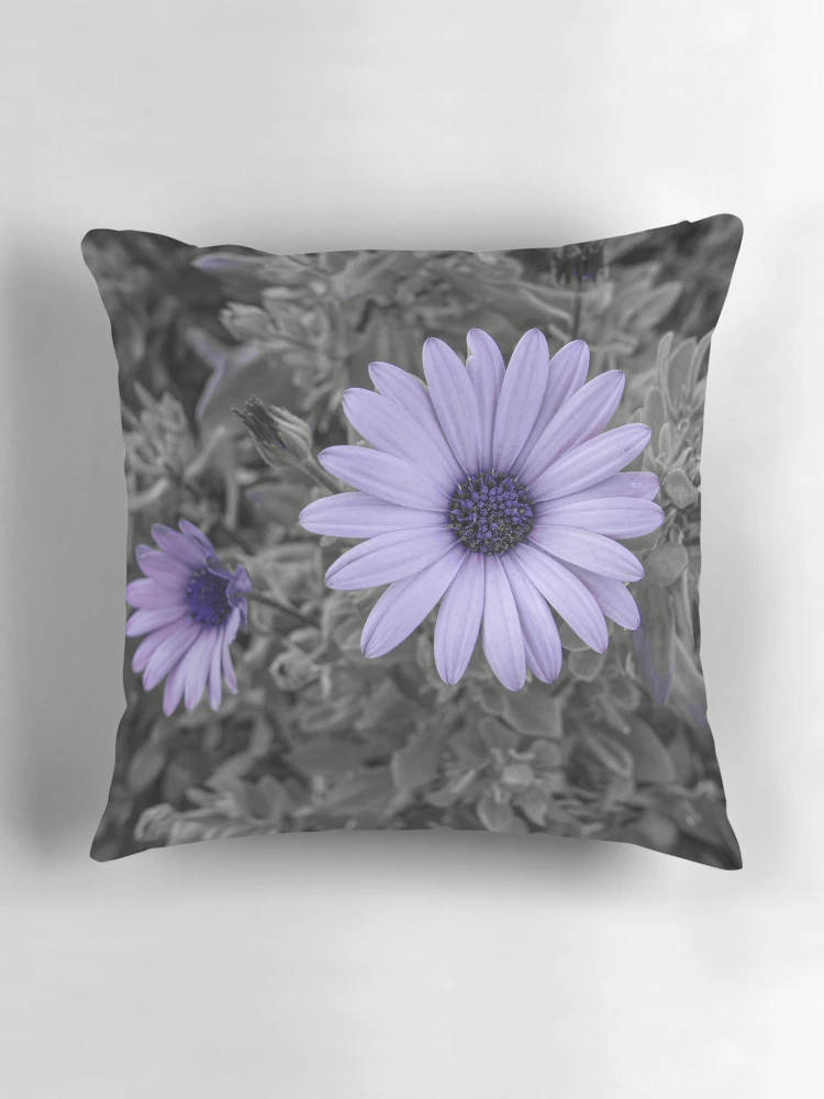 Thumbnail 3 of 4, Pillow, Dimorphotheca ecklonis designed and sold by Rafael López.