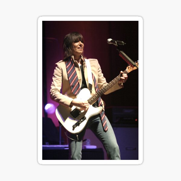 Item preview, Chrissie Hynde - Photograph designed and sold by ConcertImages.