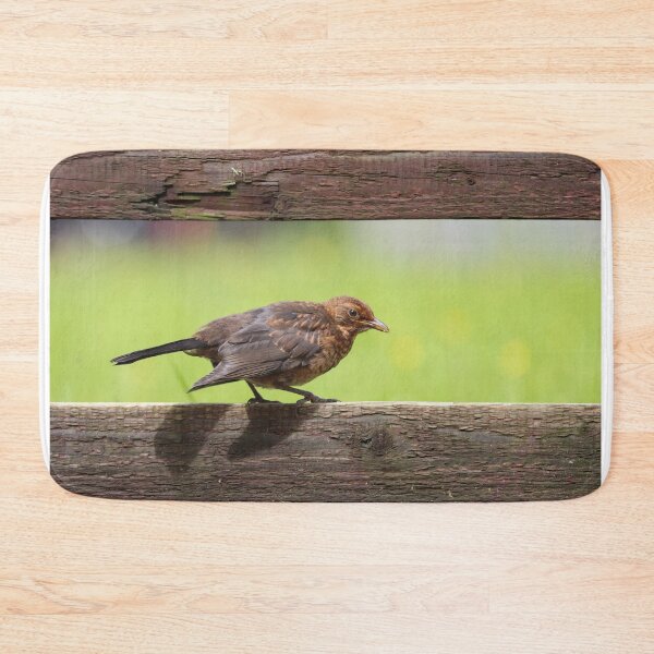 Item preview, Fledgling blackbird designed and sold by GreyFeatherPhot.