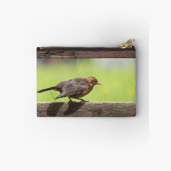 Item preview, Fledgling blackbird designed and sold by GreyFeatherPhot.