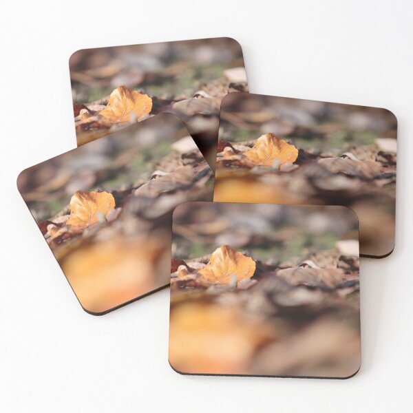 Item preview, Fallen leaves designed and sold by GreyFeatherPhot.