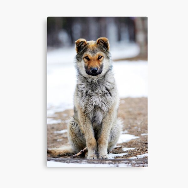 The Protector Canvas Print