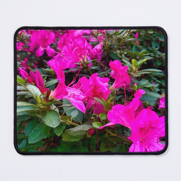Item preview, Rhododendron  designed and sold by cubanmama.