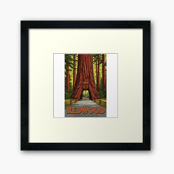 Item preview, Redwood National Park California designed and sold by Designbyhy.