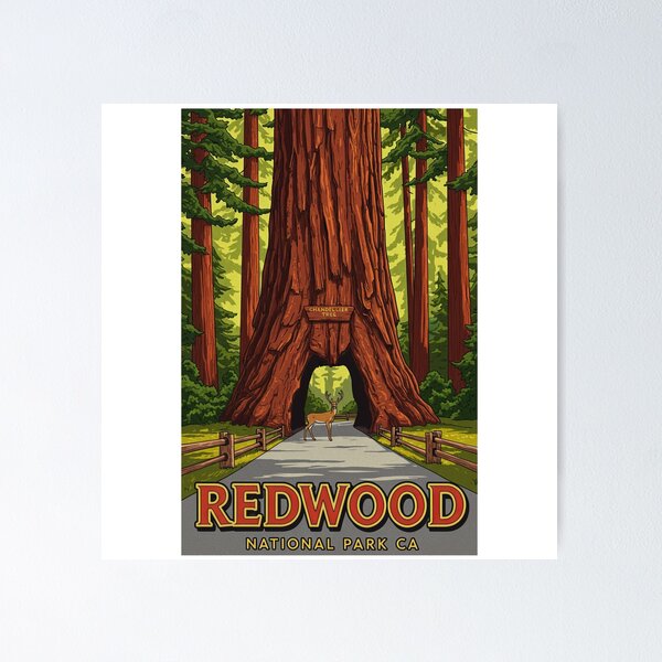 Item preview, Redwood National Park California designed and sold by Designbyhy.