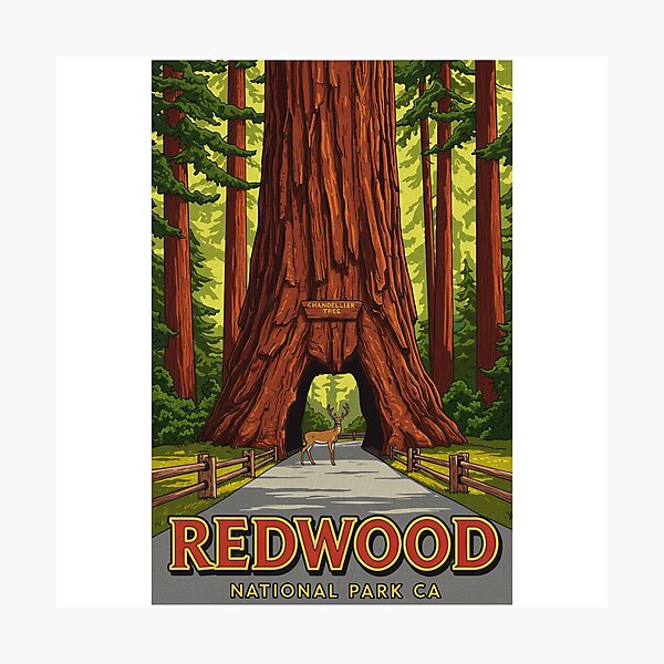 Item preview, Redwood National Park California designed and sold by Designbyhy.