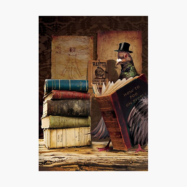Sir Fowlman of Wingitilumakeit Photographic Print