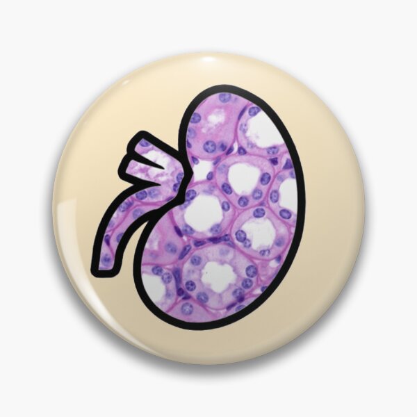 Item preview, Kidney Histology Microscopy Sticker Nephrology designed and sold by LethallyBlonde.