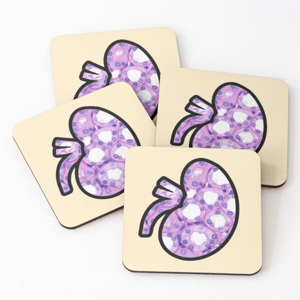 Item preview, Kidney Histology Microscopy Sticker Nephrology designed and sold by LethallyBlonde.