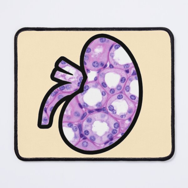 Item preview, Kidney Histology Microscopy Sticker Nephrology designed and sold by LethallyBlonde.