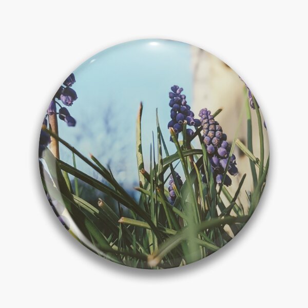 Item preview, Muscari armeniacum: A Sign of Spring's Arrival designed and sold by Jkund19.