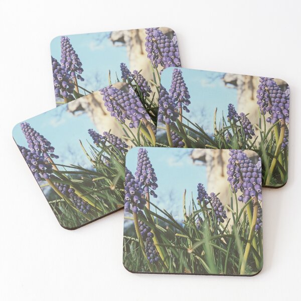 Item preview, Muscari armeniacum: A Sign of Spring's Arrival designed and sold by Jkund19.