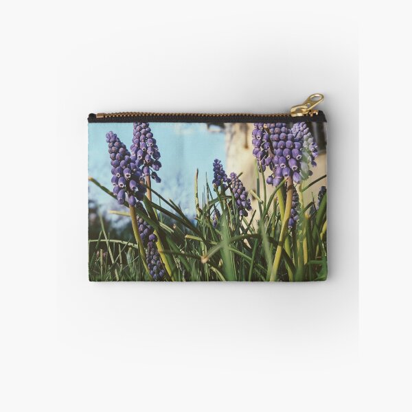 Item preview, Muscari armeniacum: A Sign of Spring's Arrival designed and sold by Jkund19.