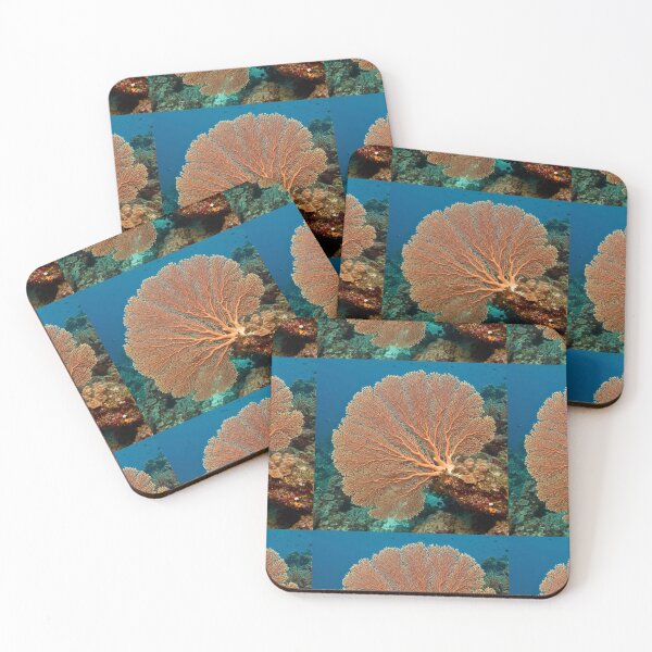 Item preview, Venus’ Fan designed and sold by MIIKE DESIGN.