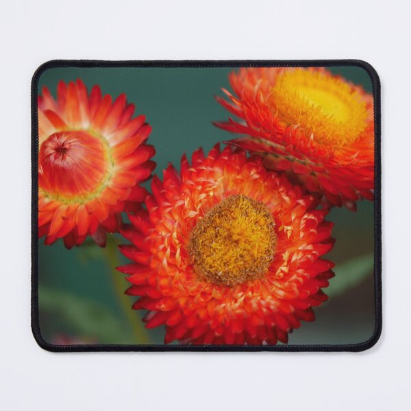 Item preview, Orange Paper Daisy designed and sold by Larry Davis.