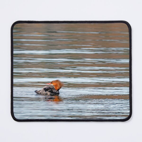 Item preview, Female Common Merganser on Lake designed and sold by lisavonbiela.