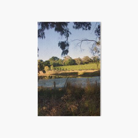 The Pinot Patch - Adelaide Hills - Fleurieu Peninsula - by South Australian artist Avril Thomas Art Board Print