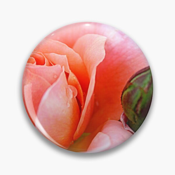 Item preview, The Beauty of Dawn: Pat Austin’s Orange Tea-Rose in Full Bloom designed and sold by SL Timeless Moments .