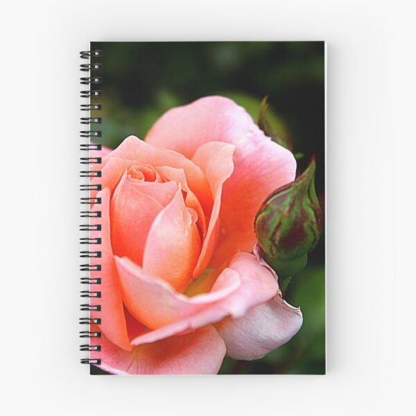 Item preview, The Beauty of Dawn: Pat Austin’s Orange Tea-Rose in Full Bloom designed and sold by SL Timeless Moments .