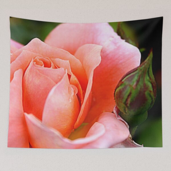 Item preview, The Beauty of Dawn: Pat Austin’s Orange Tea-Rose in Full Bloom designed and sold by SL Timeless Moments .