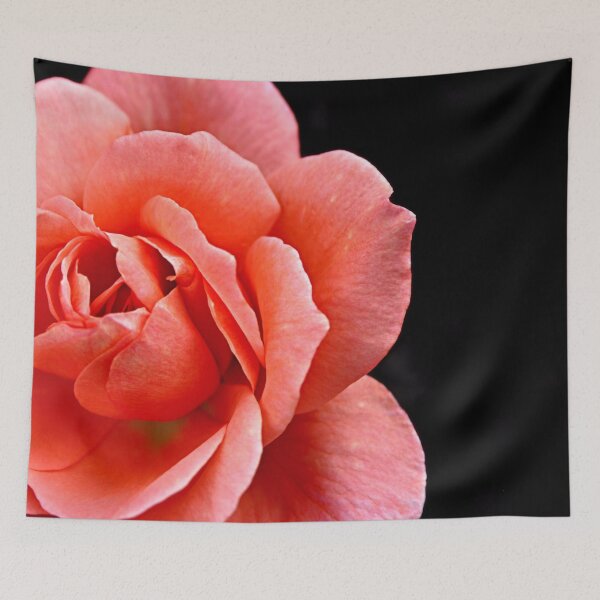 Item preview, Tropical Twilight: The Warmth and Grace of Tahitian Sunset Rose! designed and sold by SL Timeless Moments .