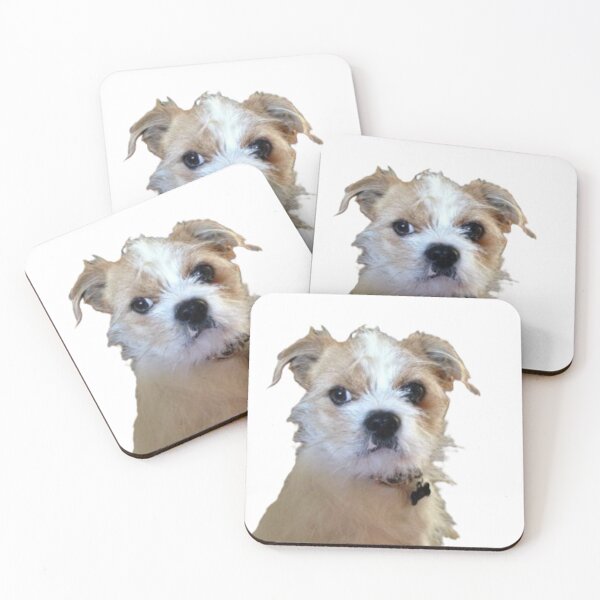 Item preview, JD Lindo perro designed and sold by CKCMtees.