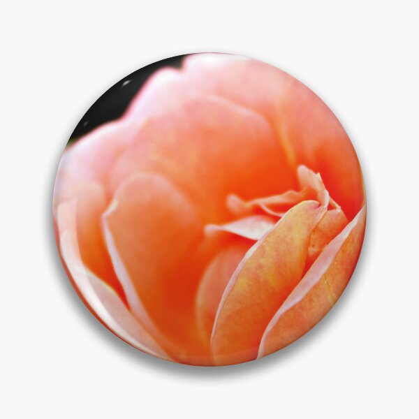 Item preview, Harmony in Bloom: The Serene Beauty of Peace Roses! designed and sold by SL Timeless Moments .