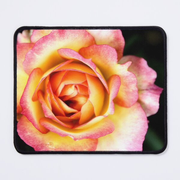 Item preview, Rose Peace: Where Beauty Meets Resilience, A Tribute to Harmony! designed and sold by SL Timeless Moments .