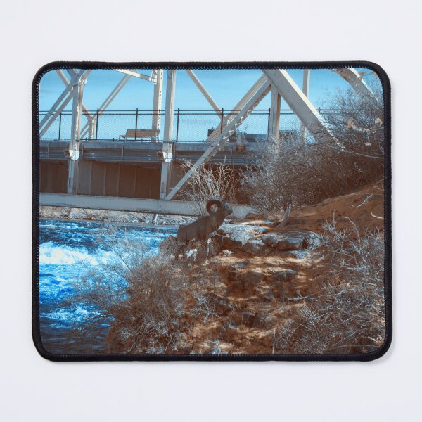 Item preview, Ram sculpture on Spokane River in infrared designed and sold by Cblifeisgood.
