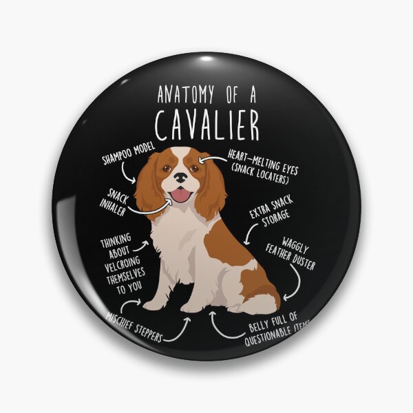 Item preview, Blenheim Cavalier King Charles Spaniel Dog Anatomy designed and sold by Clara Hollins.