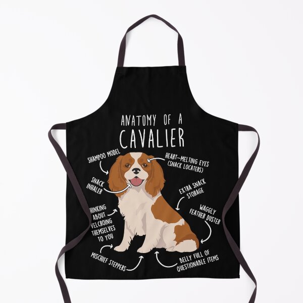 Artikelvorschau, Anatomie des Blenheim Cavalier King Charles Spaniel entworfen und verkauft von Clara Hollins.