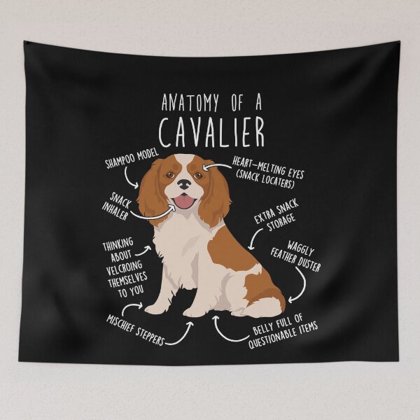 Item preview, Blenheim Cavalier King Charles Spaniel Dog Anatomy designed and sold by Clara Hollins.