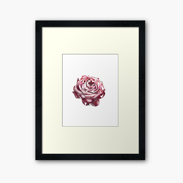 Aperçu de l'œuvre Rose poudrée créée et vendue par PurelySweet.