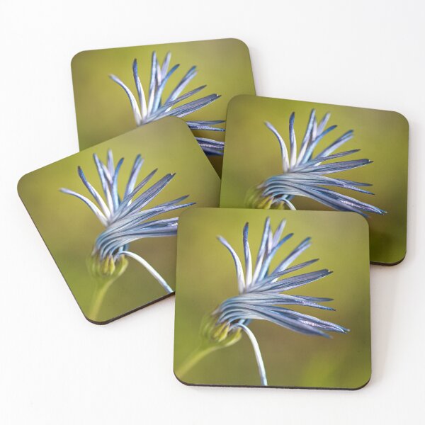 Item preview, Dancing Daisy Flower designed and sold by Joy Watson - Natural Light Photography .